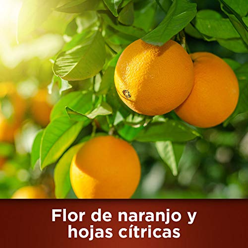 Botanical Origin Detergente para lavadora ecológico apto para pieles sensibles, aroma Flor de naranjo y hojas cítricas - Pack de 6 x 20, total 120 lavados