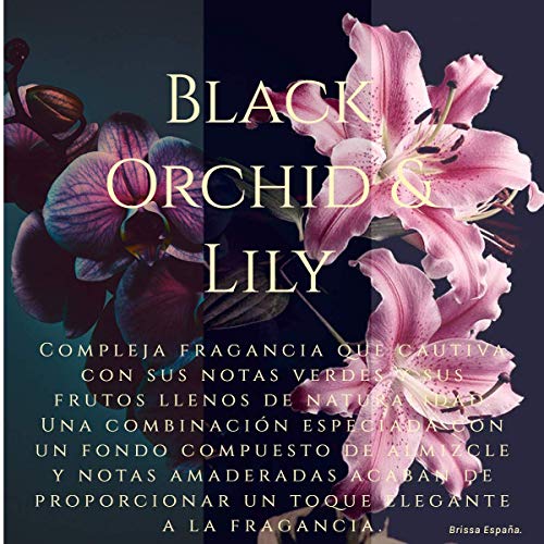 Brissa España. Ambientador Mikado Varillas Luxury. Relajante. Eco. Perfume Unico Exclusivo Black Orchid & Lily. 100 ml. Hecho en España.