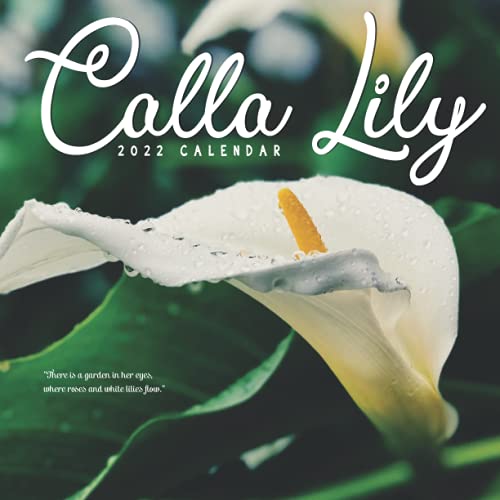 Calla Lily 2022 Calendar: 12-month mini Calendar 2022 8.5 x 8.5 inches