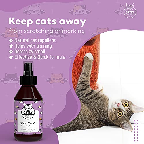 Catly Spray Repelente para Gatos con Aceite Esencial de Menta y Romero - Spray Ahuyentador Gatos Natural, Spray Antiarañazos Gatos - Repelente Gatos Jardin y Hogar para Corregir Malos Hábitos, 250ml