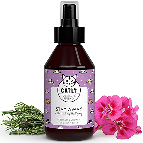 Catly Spray Repelente para Gatos con Aceite Esencial de Menta y Romero - Spray Ahuyentador Gatos Natural, Spray Antiarañazos Gatos - Repelente Gatos Jardin y Hogar para Corregir Malos Hábitos, 250ml