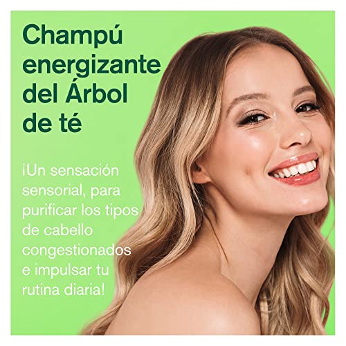 Champú de Árbol del Té y Menta - Champu Cabello Graso con Aceite de Tea Tree - Shampoo Anticaida de Pelo Aprobado por Peta, Vegano y Libre de Crueldad - Champu sin Sulfatos ni Parabenos 237ml