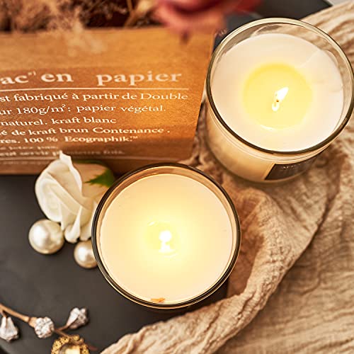 CHLOEFU LAN Vela aromática de vainilla de coco 100% natural, juego de velas de soja para decoración del hogar, altamente perfumadas, 200 g, mejores regalos de aromaterapia, 2 unidades