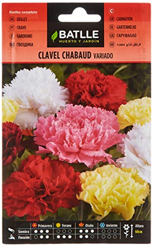 Clavel Chabaud VARIADO