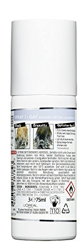 colovista 1 de Day de color de aerosol, greyhair, 75 ml