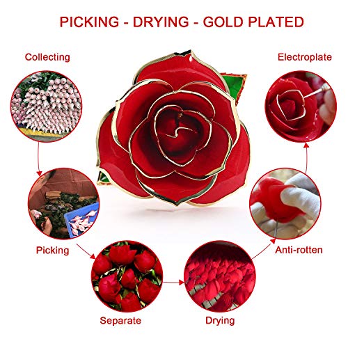 Cozime Rosa de Oro 24K con Base Soporte, Fresco Rosas Vivas con Caja de Regalo para Madre, Novia, Esposa, el Día de San Valentín, Navidad, Fiestas Doradas - Rojo (Rojo) (Rojo) (Rojo)