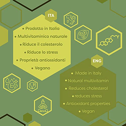 ERBOTECH Te Matcha / Polvo de té verde japonés 100 g, Multivitamínico 100% natural, Vegan, Made in Italy. Ideal para pasteles, batidos, thé helado