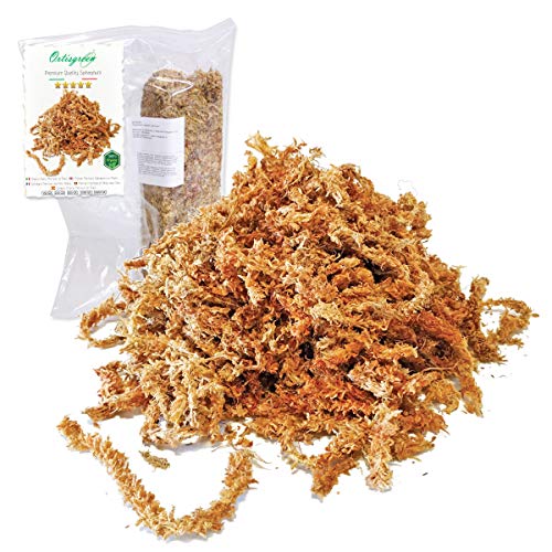 Esfagno Chileno Premium en Fibra 150 gr, Sustrato Natural de Esfagno Musgo para Orquídeas y Bonsai, Sphagnum Moss