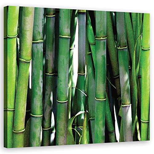 Feeby Impresión en Lienzo Brotes de bambú Naturaleza Bambú 100x100 cm DIY Decoración De Pared Calidad fotografica Exóticos Trópicos Plantas Verde