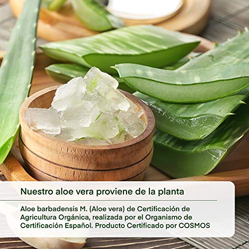 Gel crema Aloe vera puro 100% Bio Ecológico hidratante natural para piel irritada por el depilado y afeitado/Quemaduras solares y picadura de insectos. Uso Facial (cara) y Corporal (500ml) (500 ML)