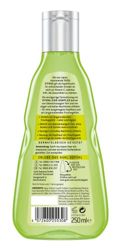 Guhl Frescor y ligereza, champú antigrasa, 250 ml, libera el cabello graso, retrasa rápidamente el engrasado.