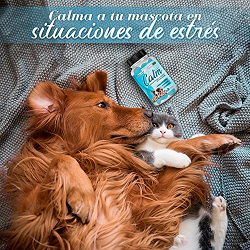 Healthy Fusion Relajante para perros y gatos, Tranquilizante para mascotas, Calma el estrés y la ansiedad, Relaja y calma a tu mascota de forma efectiva, 60 unidades