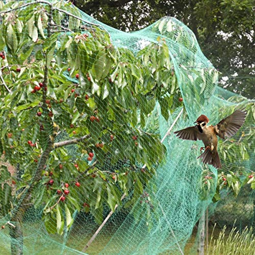 HellDoler Red para Pájaros,Red para el Jardín Malla Anti-pájaros de para Protección de Jardín, Plantas, Verduras,Árboles de Frutas (3m x 12m x 2pcs)