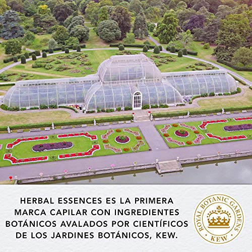 Herbal Essences bio:renew Leche De Coco Hidratación Acondicionador, En Colaboración Con El Real Jardín Botánico De Kew 6 x 200ml