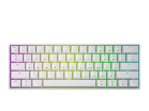 HK Gaming GK61 Teclado mecánico 61 Teclas RGB Iluminado, retroiluminación LED, para Juegos PC/Mac Gamer (Blanco, Gateron Optical Red)