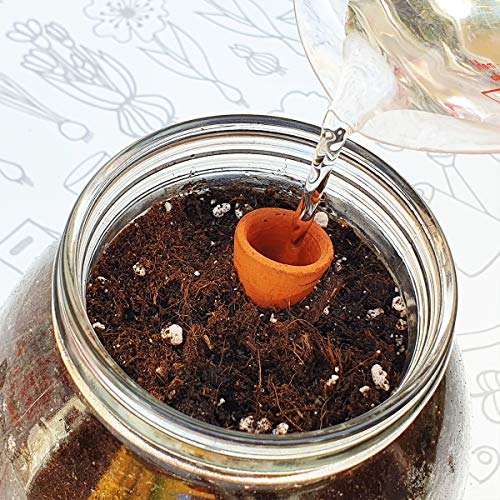 Kit Cultivo Interior Tomate Cherry con AUTORIEGO NATURAL -Garden Pocket