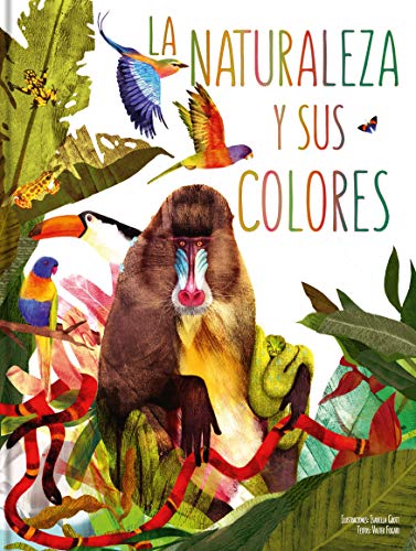 La naturaleza y sus colores