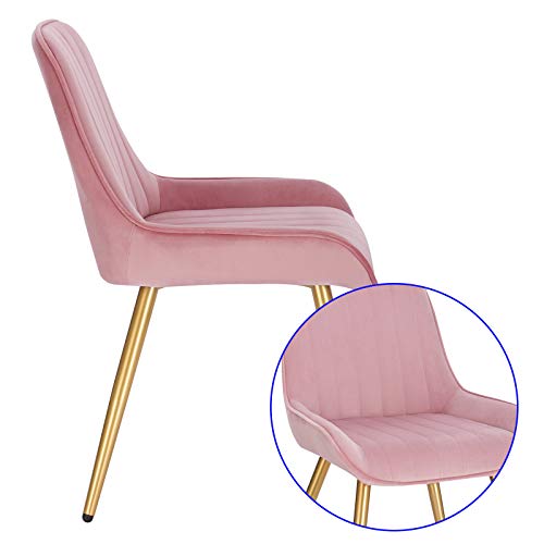 Lestarain 2X Sillas de Comedor Dining Chairs Sillas Tapizadas Paquete de 2 Sillas Cocina Nórdicas Terciopelo Sillas Bar Metal Silla de Oficina Rosa