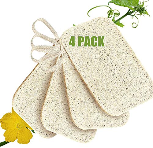 Lufa Natural Esponja, 4 Piezas Loofah Scrubber Esponjas Orgánicas Naturales para Lavar Platos con Cuerda, Biodegradable Esponja Vegetal Natural Luffa Ecológico para cocina del limpia y Ducha para Baño