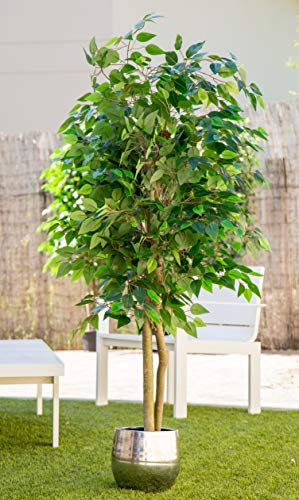 Maia Shop 1225 Ficus Troncos Naturales, Elaborados con los Mejores Materiales, Ideal para Decoración de hogar, Árbol, Planta Artificial (105 cm), Mixtos, 150 cm