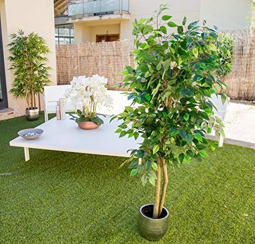 Maia Shop 1225 Ficus Troncos Naturales, Elaborados con los Mejores Materiales, Ideal para Decoración de hogar, Árbol, Planta Artificial (105 cm), Mixtos, 150 cm