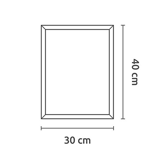 MILUKA Láminas Decorativas para enmarcar colección FEUILLES (láminas Hojas Verdes) | Varios Tamaños - Le Temps Passe (30 x 40 cm)