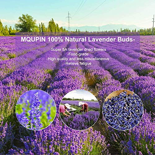 MQUPIN Brotes de lavanda naturales, flores de lavanda secas tienen fragancia de larga duración, flores secas de lavanda francesa, de grado premium(250 g/0.55 lb)