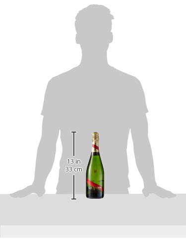 Mumm Cordon Rouge Brut Champagne - 750 ml