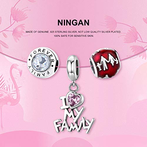 NINGAN Dije familiar para pulsera Pandora Charms y regalos de cumpleaños para el día de la madre para mujer, colgante de corazón de amor con circonita cúbica para collar en plata de ley 925