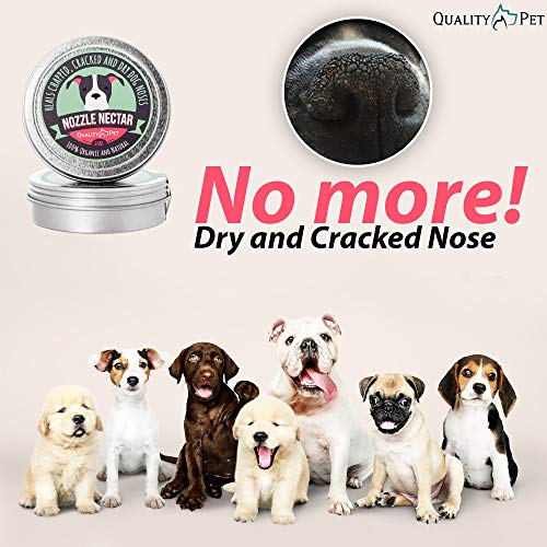Nozzle Nectar Bálsamo emoliente para Nariz para Perros - 100% orgánico y Natural - Cura y regenera la Nariz de tu Perro Agrietada y Seca - Regenera heridas y contusiones