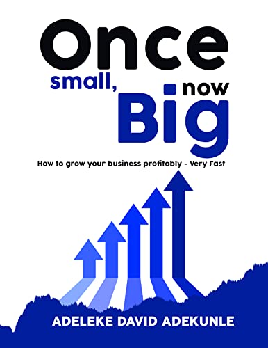 ONCE SMALL, NOW BIG: How to grow your business profitably—very fast! (English Edition)