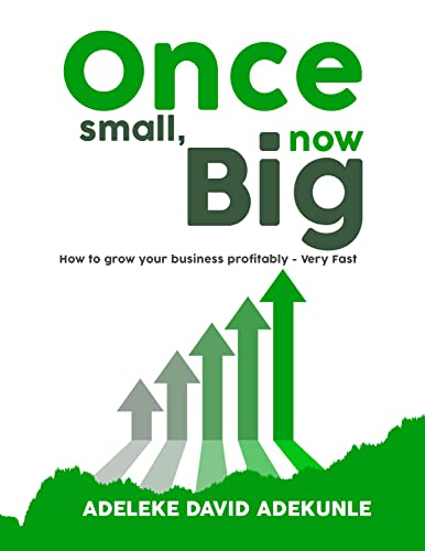 ONCE SMALL, NOW BIG: How to grow your business profitably—very fast! (English Edition)