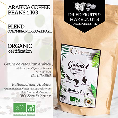 ORIGEENS Café en Grano Natural 1kg | Cafe Grano Arabica Ecológico | Torrefacción Artesanal | Gabriel