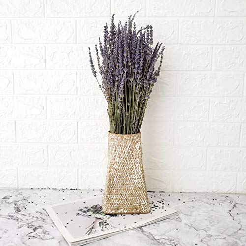 Paquetes de lavanda seca en total 200 tallos frescas flores de lavanda naturales para bricolaje boda decoración del hogar