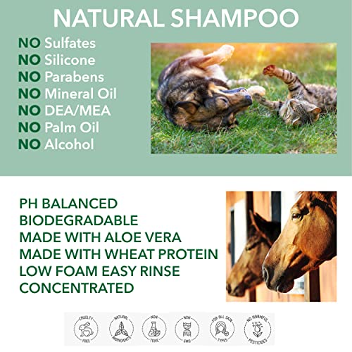 POO FREE 99% Natural CHAMPÚ para Perros - con Aloe Vera, CITRONELA & NEEM - 250ml pH Equilibrado. Sin Sulfatos, Sin Parabenos, Sin Silicona. Concentrado, Limpia, Calma, Hidrata, Alivia.