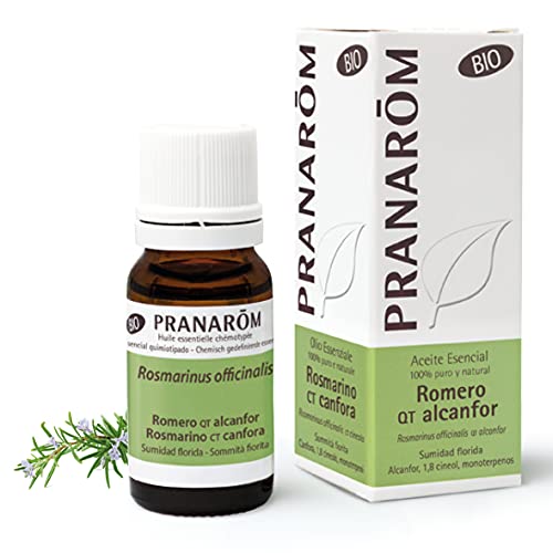 Pranarôm Aceite esencial Romero qt alcanfor, 100% Quimiotipado, Rosmarinus officinalis qt alcanfor, sumidad florida, usado frecuentemente en perfumería, 10 ml