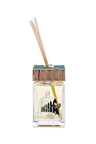 QC Terme Aria Torino 500 ml Art Edition - Ambientador con difusor de varillas, fragancia fresca, floral y madera, fabricado en Italia