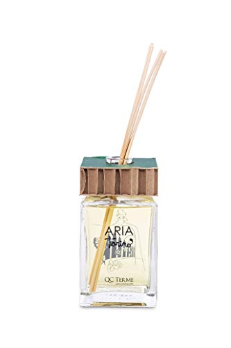 QC Terme Aria Torino 500 ml Art Edition - Ambientador con difusor de varillas, fragancia fresca, floral y madera, fabricado en Italia