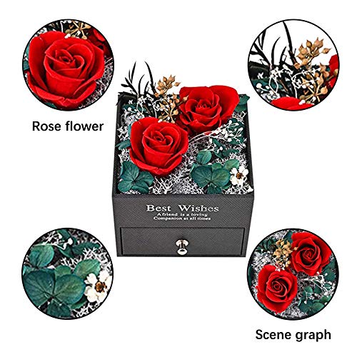 Real Rosa Eterna Hecha a Mano Preservada con Amor, Rosas Preservadas Naturales a Domicilio Rosas Eterna,Beauty and Regalos Magicos Decoración Día de San Valentín Aniversario Bodas Románticos para Ella