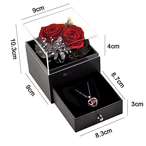 Roqueen Rosa Eterna, Rosa Preservada con Collar Hecha a mano Rosa Siempre, Regalos para Novia Esposa Madre para día de San Valentín Día de la Madre Boda Aniversario Cumpleaños Navidad (Dos Rosas)