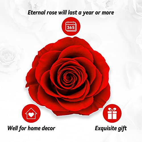 Rosa Real Preservada, Eterna Hecha a Mano Rosa con Collar, Regalos para Tu Novia Originales, Románticos Regalo para Mujer para Día de San Valentín Aniversario Día de la Madre Bodas Cumpleaños Navidad