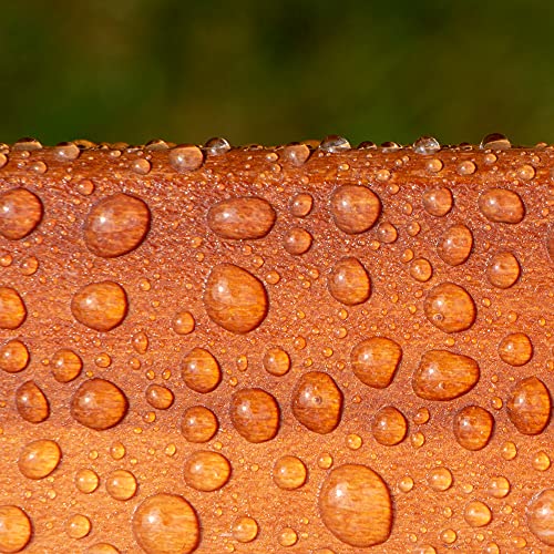 Roxil lasur al agua hidrófugo transparente para madera exterior (3 Litros) - Tratamiento de acabado incoloro impermeabilizante durante 10 años