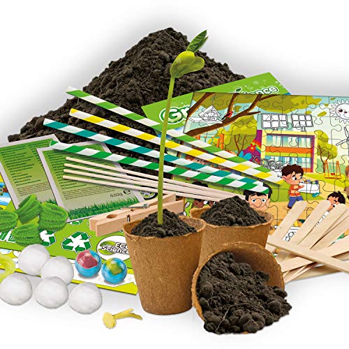 Science4you-Green Science – Juguete, Ecologico con 15 Experimentos y un Libro Educativo, Regalo Original para Niños +6 Anõs, Multicolor (80002418)
