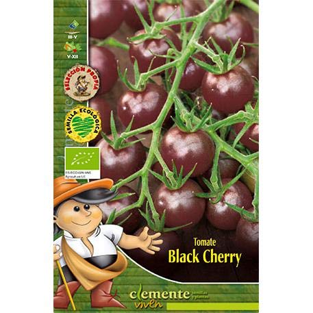 Semillas ecológicas de Tomate Black Cherry