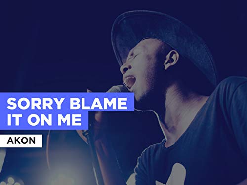 Sorry Blame It On Me in the Style of Akon