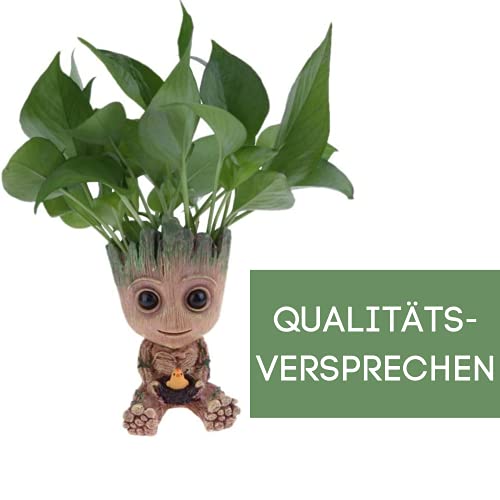 thematys® Baby Groot Maceta - Figura de acción para Plantas y bolígrafos de la película clásica - Perfecto como Regalo - Soy Groot (F Grande 15x8,5x8,5cm)