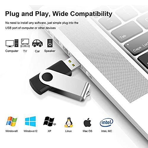 USB 1GB, Pendrive 1GB Pack 20, RAOYI Memoria USB 1GB 2.0, Memory Stick Flash Drive para Máquina de Coser Bordado, Computadoras PC Windows Mac OS (20 Unidades, Color de Negro)