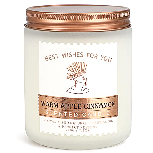 Velas Perfumadas, Velas de Cera de Soja de 7.1 oz, Fragancia de Canela y Manzana, Regalo para Mujeres Navidad, Velas Decorativas de Aromaterapia, Duran Hasta 45 Horas