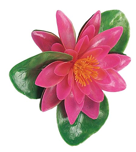 Verdemax 8912 20 x 14 cm Flotante Water Lily – Rosa