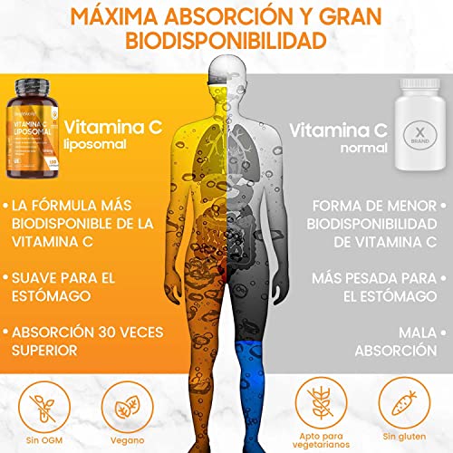 Vitamina C Liposomal 1000mg 180 Cápsulas Con Rosa Mosqueta - Suministro 3 Meses de Vitamina C Pura, Contribuye al Funcionamiento Normal del Sistema Inmunológico, Vegano